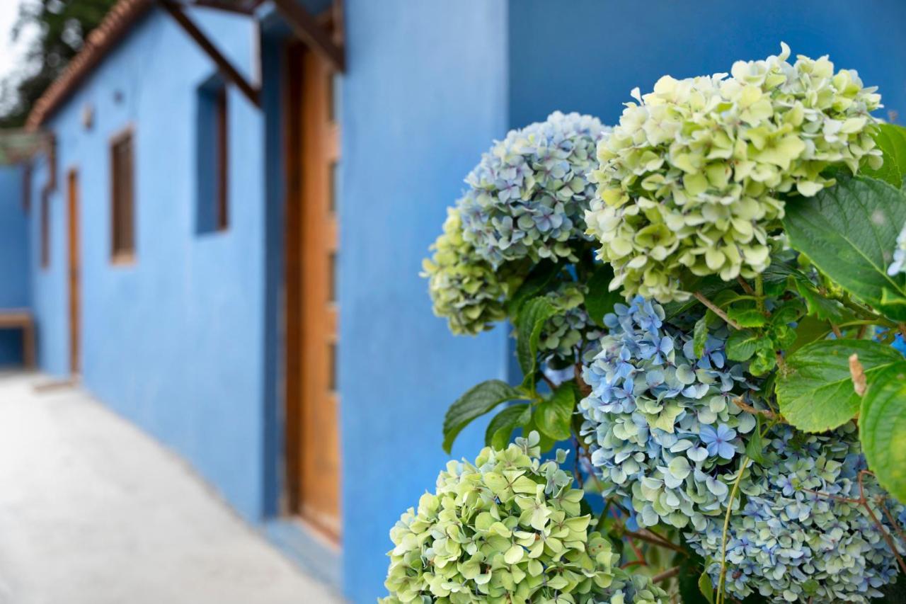 Casa Azul Del Roque Negro Villa Santa Cruz de Tenerife Ngoại thất bức ảnh